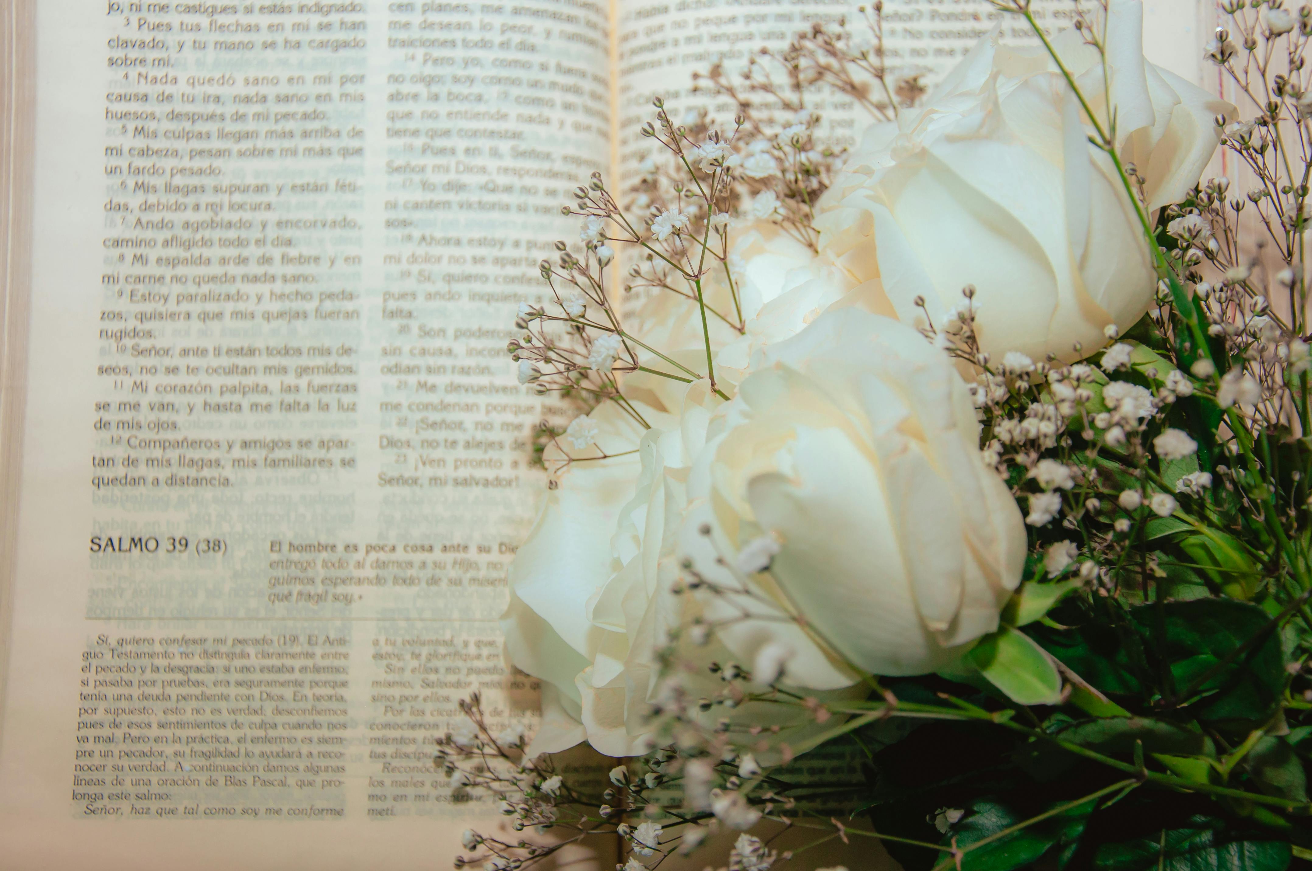Boda cristiana 1